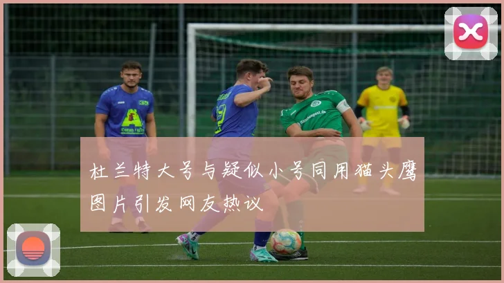 杜兰特大号与疑似小号同用猫头鹰图片引发网友热议