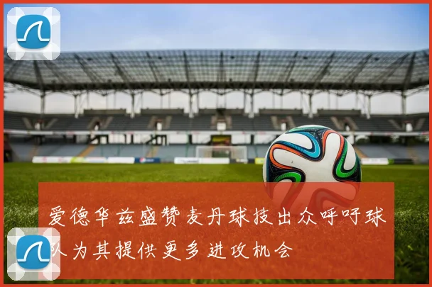 爱德华兹盛赞麦丹球技出众呼吁球队为其提供更多进攻机会