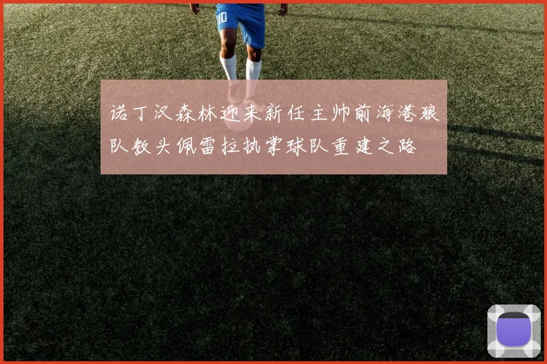 诺丁汉森林迎来新任主帅前海港狼队教头佩雷拉执掌球队重建之路