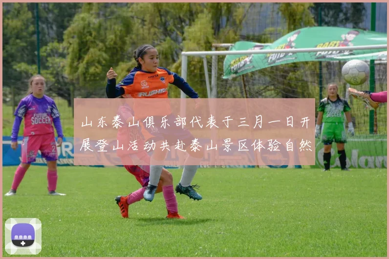 山东泰山俱乐部代表于三月一日开展登山活动共赴泰山景区体验自然之美