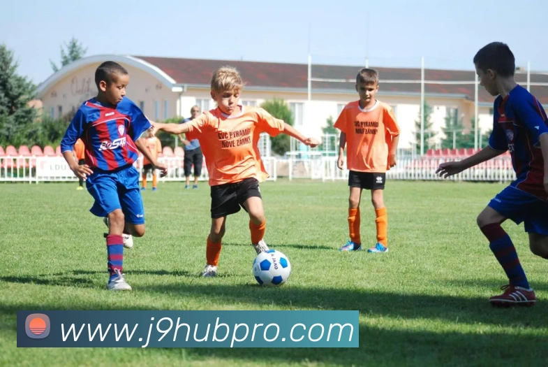 多媒体互动体验